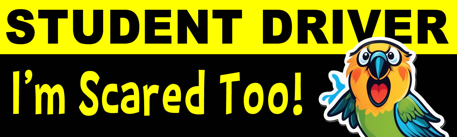 Student Driver I m Scared Too 