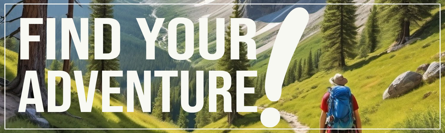 Find Your Adventure Vinyl Bumper Sticker  Window Cling or Bumper Sticker Magnet in UV Laminate Coating