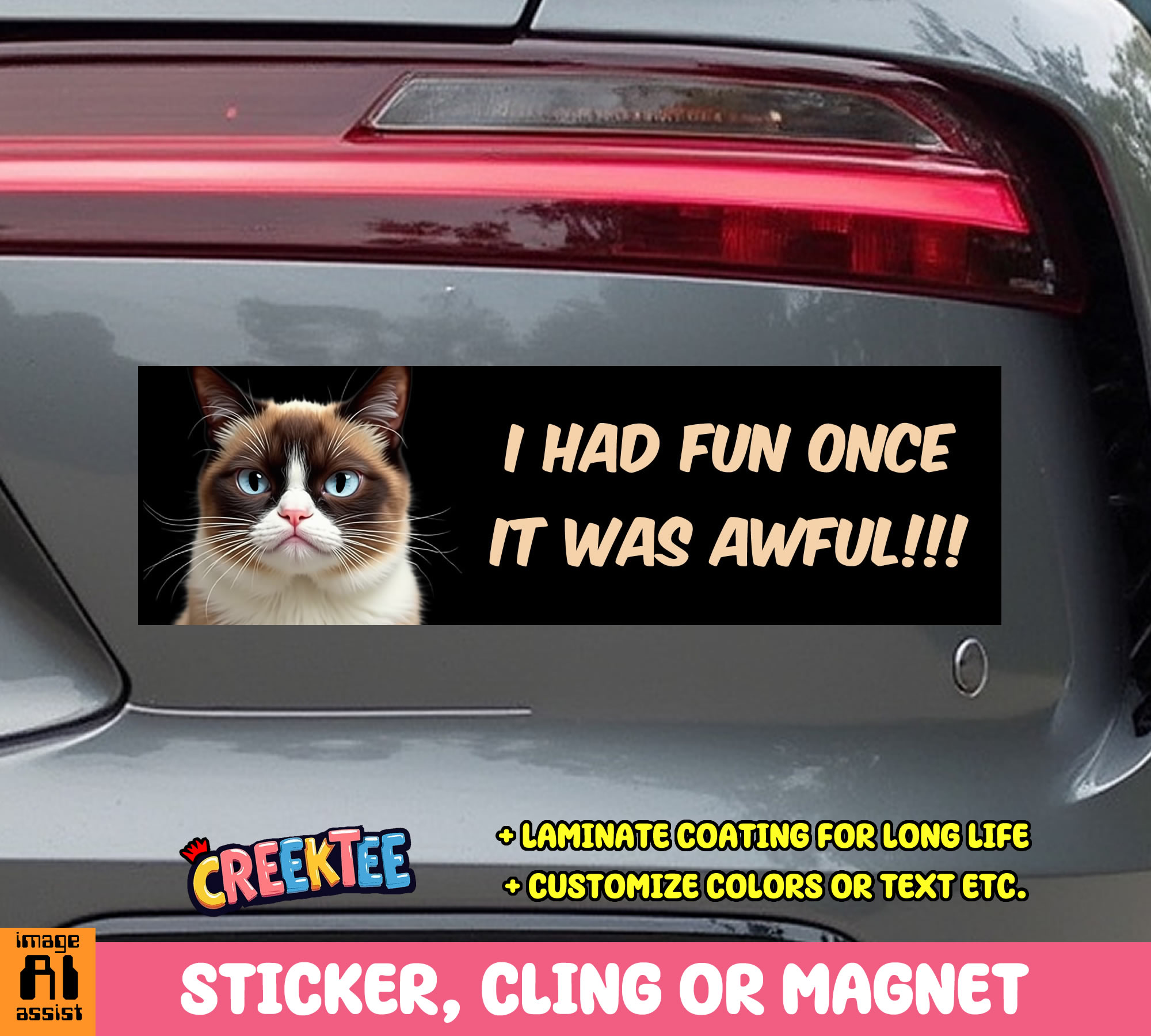 I Had Fun Once It Was Awful Vinyl Bumper Sticker  Window Cling or Magnet in UV Laminate Coating and Various Sizes