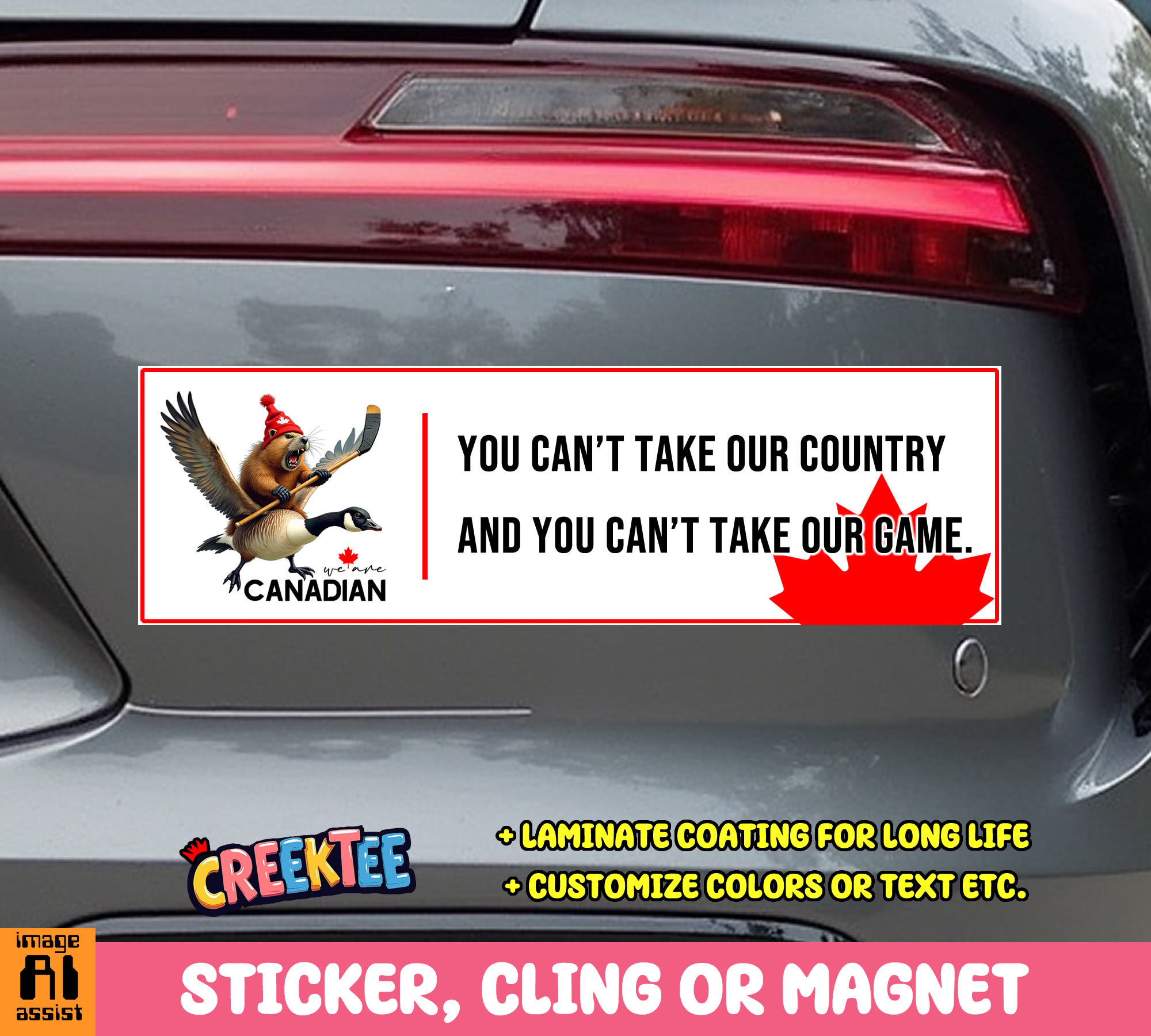 You Can t Take Our Country and You Can t Take Our Game Vinyl Bumper Sticker  Window Cling or Magnet in UV Laminate Coating and Various Sizes
