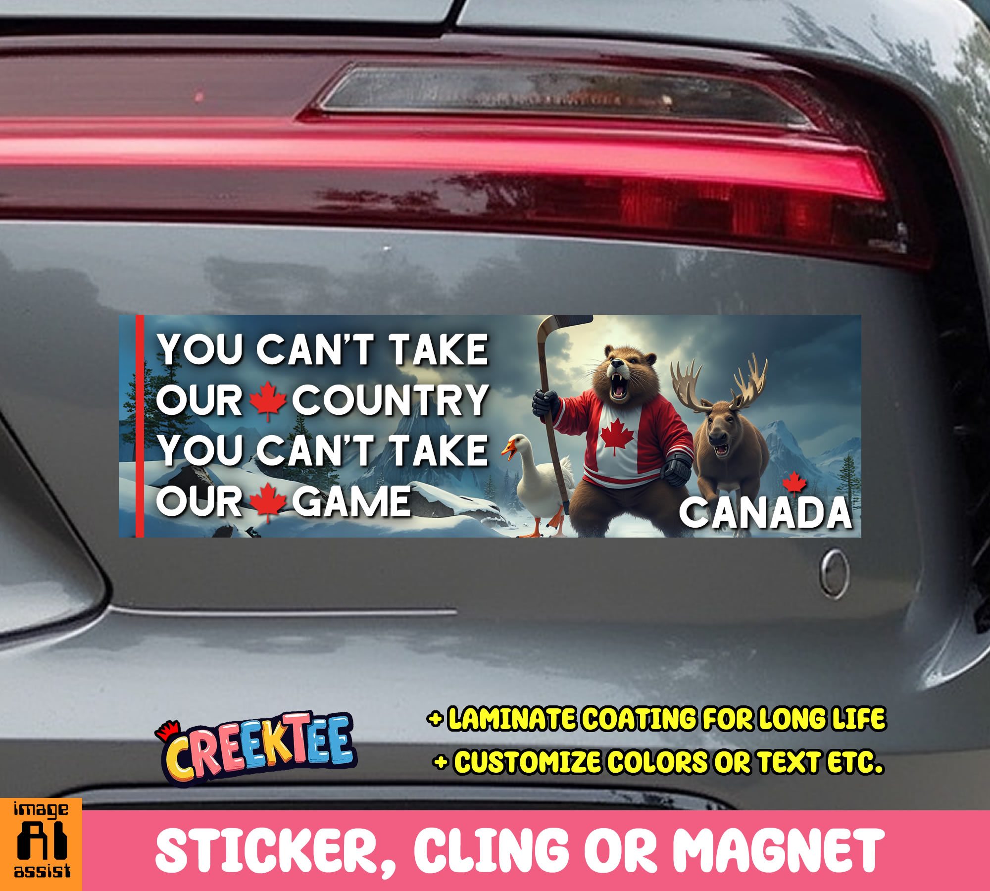 You Can t Take Our Country and You Can t Take Our Game Vinyl Bumper Sticker  Window Cling or Magnet in UV Laminate Coating and Various Sizes